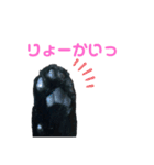 うちのお猫様 黒猫（個別スタンプ：10）
