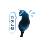 うちのお猫様 黒猫（個別スタンプ：11）