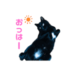 うちのお猫様 黒猫（個別スタンプ：13）