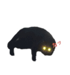 うちのお猫様 黒猫（個別スタンプ：15）