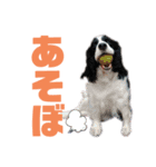 愉快な家族です2（個別スタンプ：1）