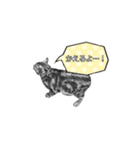 ねこ鉛筆画スタンプ（個別スタンプ：5）