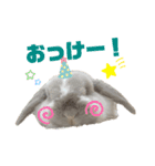 たれみみらむちゃん（個別スタンプ：14）