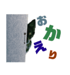 ガンコとアラコ（個別スタンプ：7）