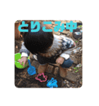 ダイスキ奏①（個別スタンプ：5）