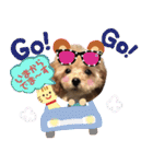 トイプードル花梨ちゃん（個別スタンプ：9）