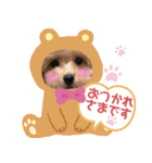 トイプードル花梨ちゃん（個別スタンプ：36）
