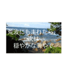 大好きな家族に送る言葉 その5（個別スタンプ：8）
