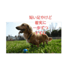 大好きな家族に送る言葉 その5（個別スタンプ：11）