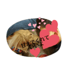 大好きな家族に送る言葉 その5（個別スタンプ：23）