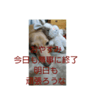 大好きな家族に送る言葉 その5（個別スタンプ：24）