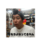 ボブシンバ（個別スタンプ：5）