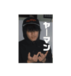 ボブシンバ（個別スタンプ：7）