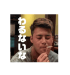 ボブシンバ（個別スタンプ：8）