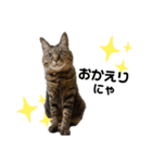 ぬぬ吉☆（個別スタンプ：3）