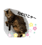 ぬぬ吉☆（個別スタンプ：4）