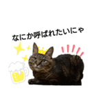 ぬぬ吉☆（個別スタンプ：5）