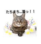 ぬぬ吉☆（個別スタンプ：11）