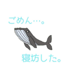 イラスト生き物図鑑2(水族館編-前編)（個別スタンプ：1）