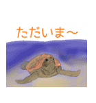 イラスト生き物図鑑2(水族館編-前編)（個別スタンプ：11）