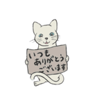 てくてく となりのしろねこさん（個別スタンプ：14）