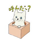 てくてく となりのしろねこさん（個別スタンプ：20）