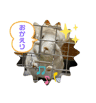 チンチラすたんぷ.mml（個別スタンプ：7）