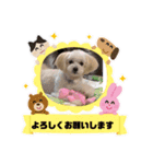 pomepu anko（個別スタンプ：17）