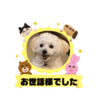 pomepu anko（個別スタンプ：23）