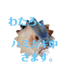 わたろ【其之壱】（個別スタンプ：6）