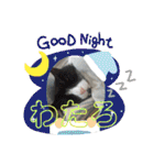 わたろ【其之壱】（個別スタンプ：13）