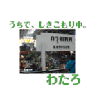 わたろ【其之壱】（個別スタンプ：36）