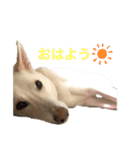 RON CHIYODA（個別スタンプ：5）