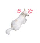 RON CHIYODA（個別スタンプ：7）