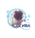あんこちゃんの日常2（個別スタンプ：11）