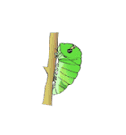 アゲハチョウの幼虫たち（個別スタンプ：38）