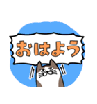 なにかと叫びがちなネコ2（でか文字）（個別スタンプ：1）