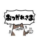 なにかと叫びがちなネコ2（でか文字）（個別スタンプ：3）