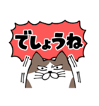 なにかと叫びがちなネコ2（でか文字）（個別スタンプ：17）