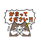 なにかと叫びがちなネコ2（でか文字）（個別スタンプ：27）