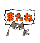 なにかと叫びがちなネコ2（でか文字）（個別スタンプ：40）