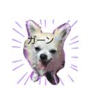 ゆめこゆあり（個別スタンプ：9）