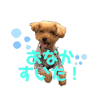 伊藤家の愛犬ぺこちゃんスタンプ2（個別スタンプ：4）