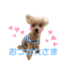 伊藤家の愛犬ぺこちゃんスタンプ2（個別スタンプ：5）