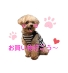 伊藤家の愛犬ぺこちゃんスタンプ2（個別スタンプ：10）