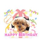 伊藤家の愛犬ぺこちゃんスタンプ2（個別スタンプ：13）