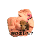 それいけ！さんでぃ（個別スタンプ：8）