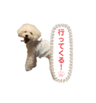 こむこむと愉快な仲間たちスタンプ2（個別スタンプ：3）