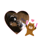 チョコの日常3（個別スタンプ：5）