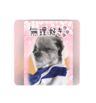 チョコの日常3（個別スタンプ：6）